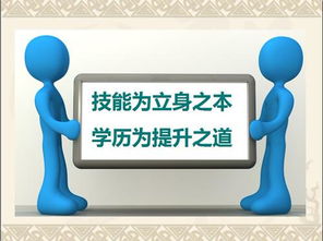 计算机信息管理本科自考要考哪些科目 在哪报名